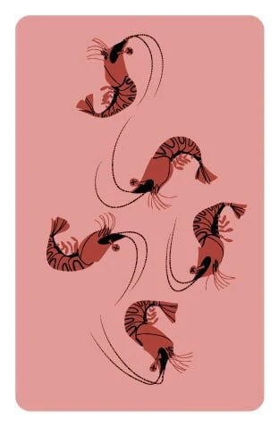 La marche du crabe - Image 8