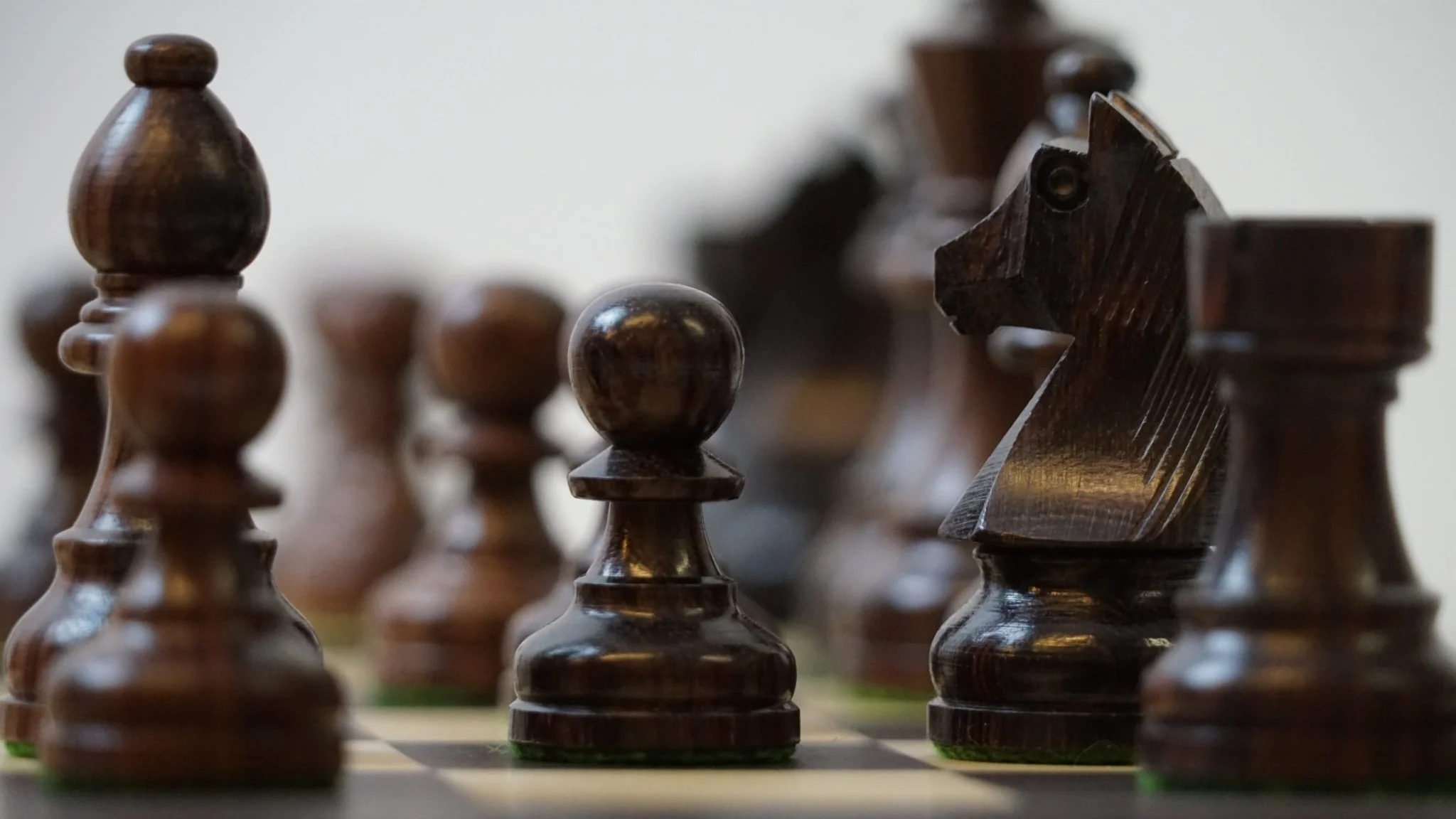 Pièces d'échecs Club en Palissandre - Chopra
