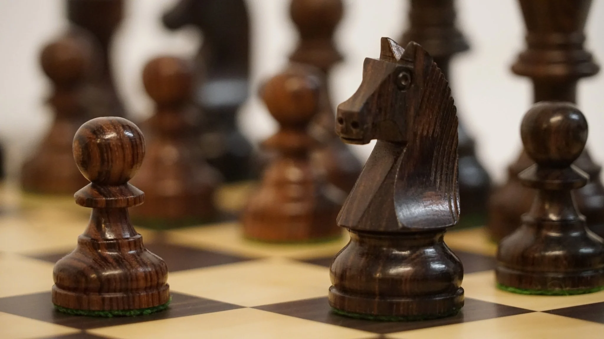 Pièces d'échecs Club en Palissandre - Chopra - Image 2