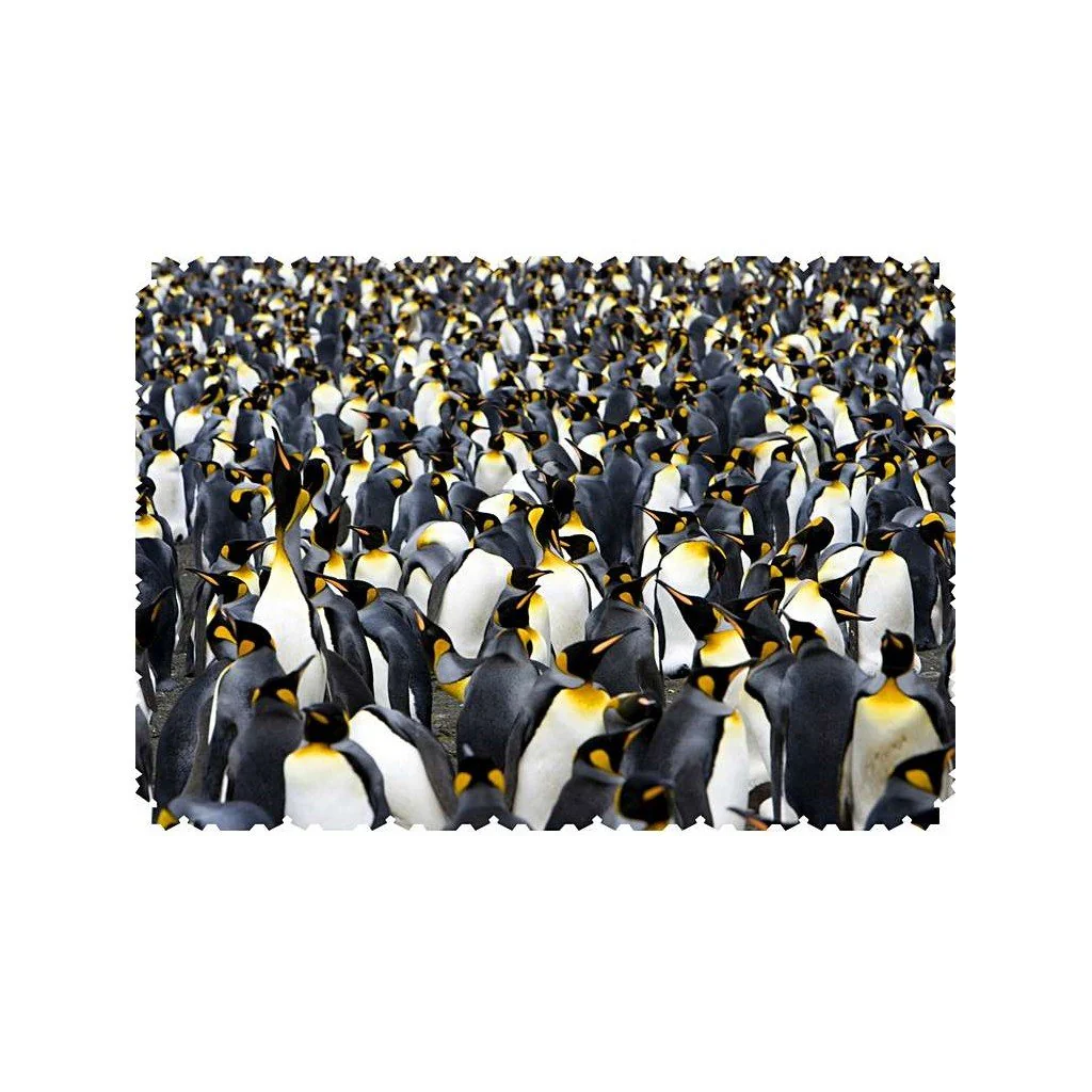 Puzzle Bois Wentworth - 40 pièces - Pingouin Pandomium